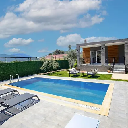 Captivating With Private Pool Surrounded By Olive Trees In Fethiye Üzümlü